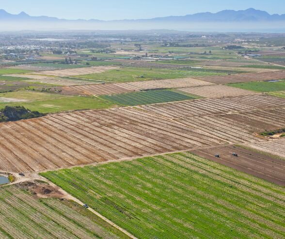 Opposition Forms Against Strategic Water Supply Proposal Las Cruces   20240123 153728 Mesilla Valley New Mexico 